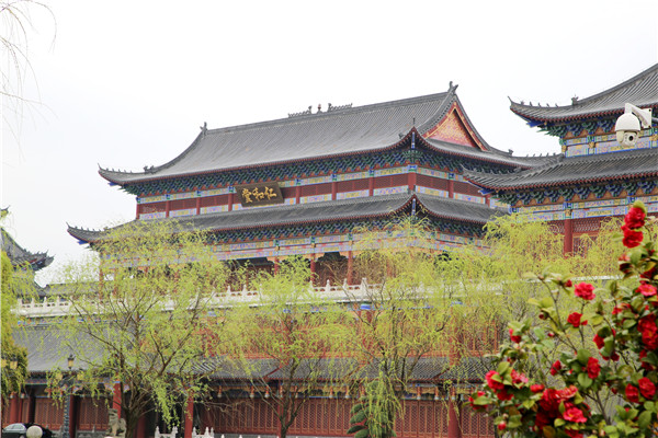 春光如畫(huà) 醉美仁和