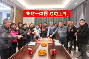 仁和業財一體化系統成功上線