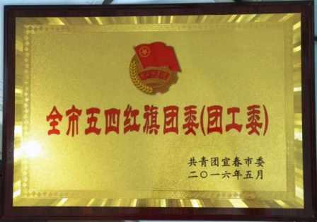仁和集團團委榮膺宜春市“五四紅旗團委” (1).jpg